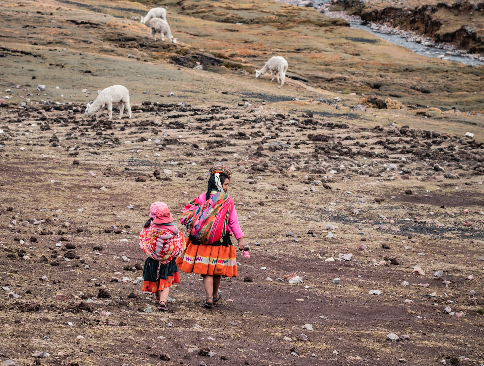 a woman and child are walking through a field with sheep